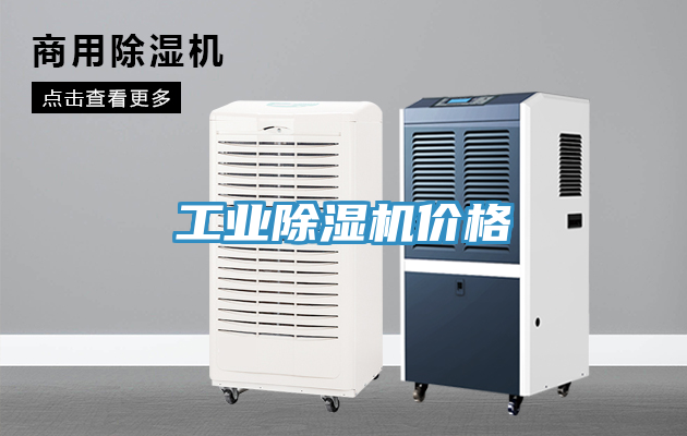 亚洲人成综合第一网站 工业除湿机价格