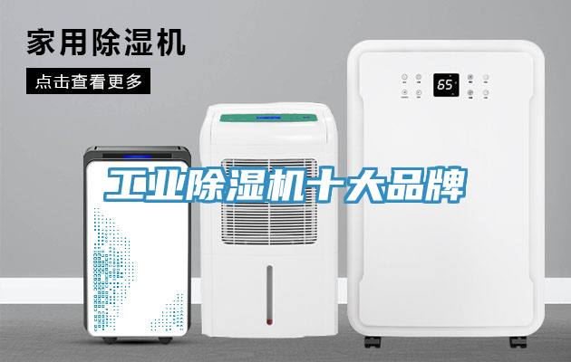 亚洲人成综合第一网站 工业除湿机十大品牌