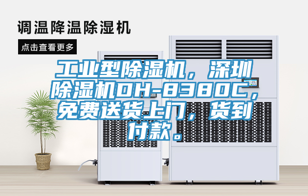 工业型除湿机，深圳除湿机DH-8380C，免费送货上门，货到付款。