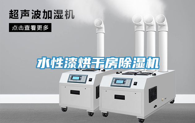 亚洲人成综合第一网站 水性漆烘干房除湿机