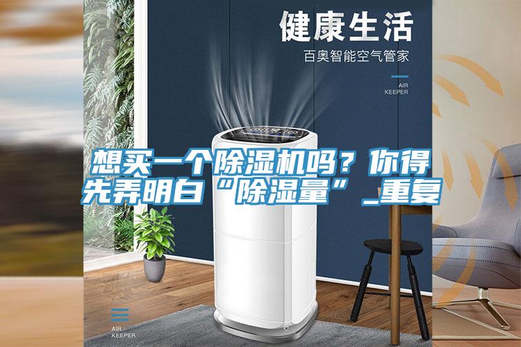 亚洲欧美一级特黄大片 想买一个除湿机吗？你得先弄明白“除湿量”_重复