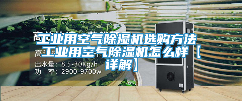 亚洲欧美一级特黄大片 工业用空气除湿机选购方法 工业用空气除湿机怎么样【详解】