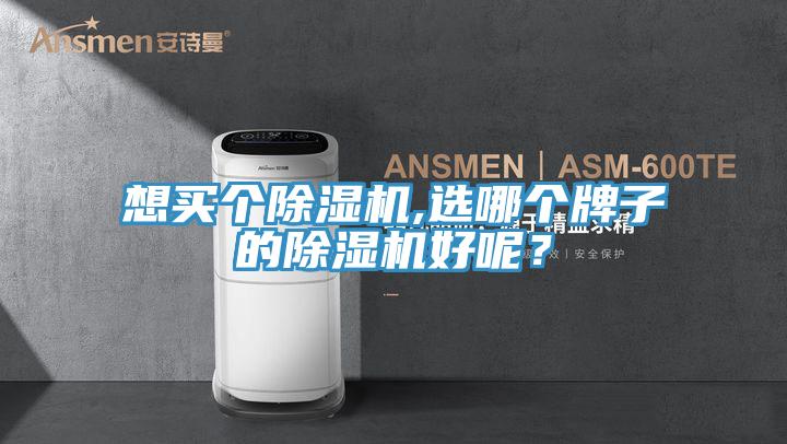 亚洲人成综合第一网站 想买个除湿机,选哪个牌子的除湿机好呢？