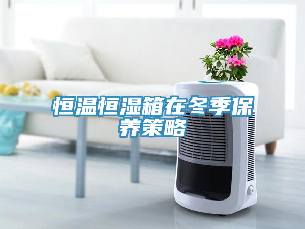 亚洲欧美一级特黄大片 恒温恒湿箱在冬季保养策略