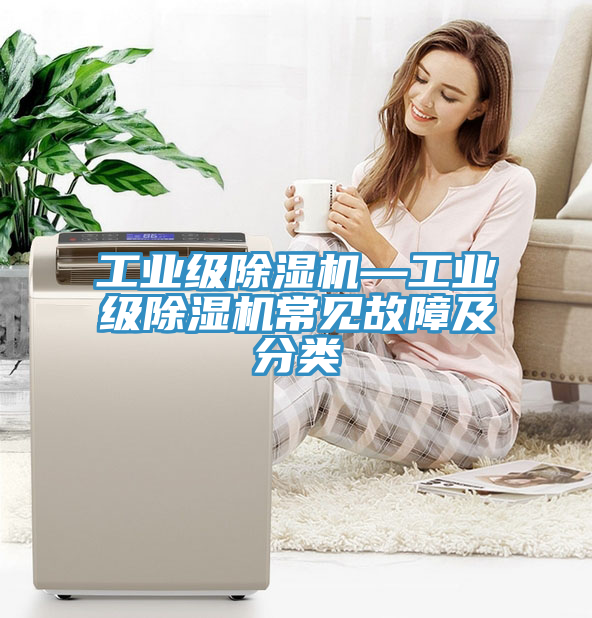 亚洲欧美一级特黄大片 工业级除湿机—工业级除湿机常见故障及分类
