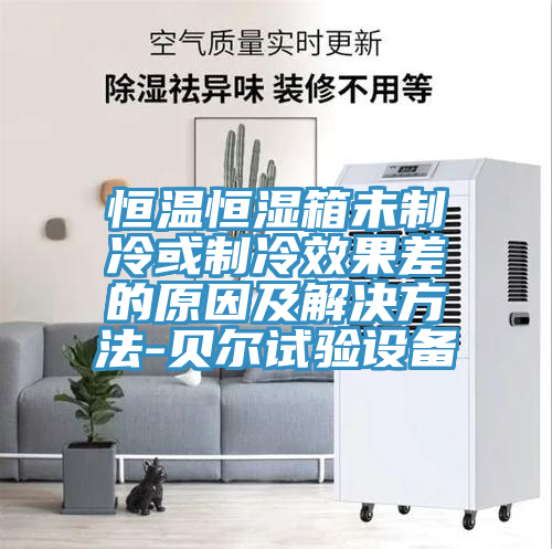 亚洲欧美一级特黄大片 恒温恒湿箱未制冷或制冷效果差的原因及解决方法-贝尔试验设备