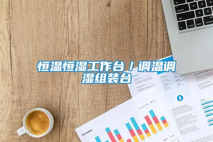 亚洲人成综合第一网站 恒温恒湿工作台／调温调湿组装台