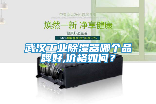 亚洲欧美一级特黄大片 武汉工业除湿器哪个品牌好,价格如何？