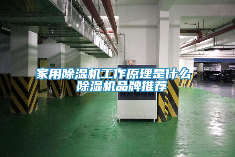 亚洲乱码一区二区三区 家用除湿机工作原理是什么  除湿机品牌推荐