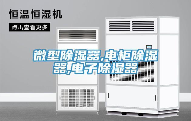 亚洲人成综合第一网站 微型除湿器,电柜除湿器,电子除湿器