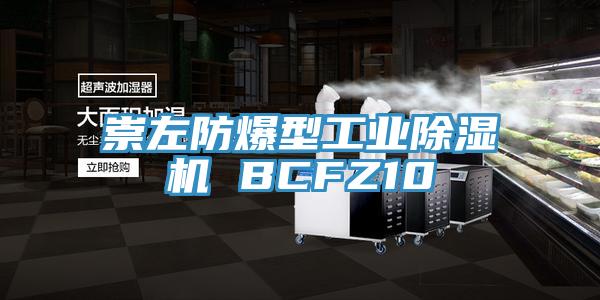 亚洲人成综合第一网站 崇左防爆型工业除湿机 BCFZ10