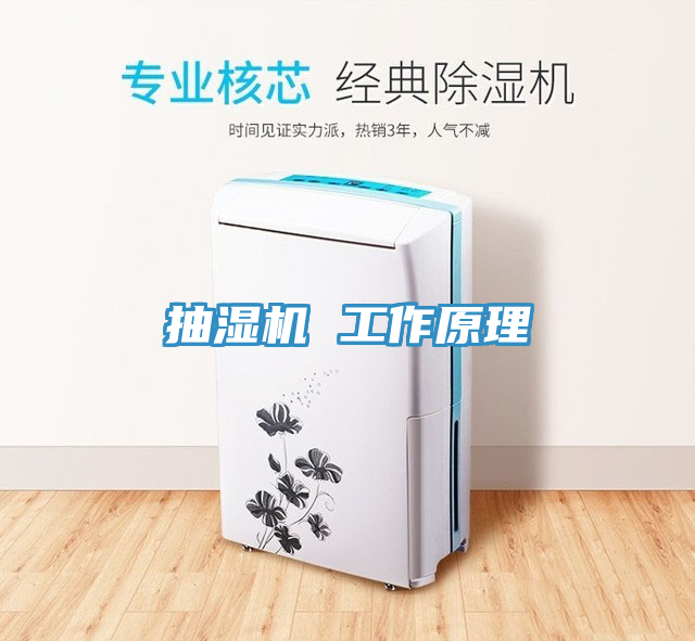 亚洲乱码一区二区三区 抽湿机 工作原理
