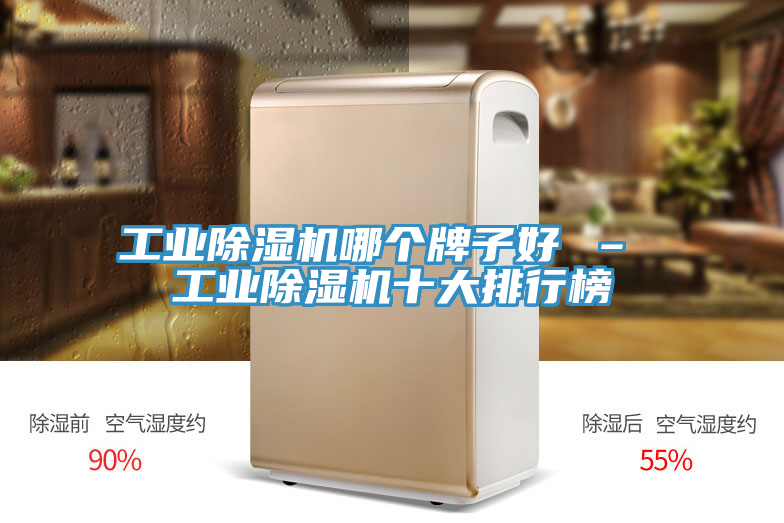 亚洲欧美一级特黄大片 工业除湿机哪个牌子好 – 工业除湿机十大排行榜