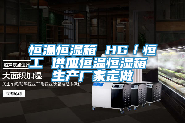 亚洲欧美一级特黄大片 恒温恒湿箱 HG／恒工 供应恒温恒湿箱 生产厂家定做