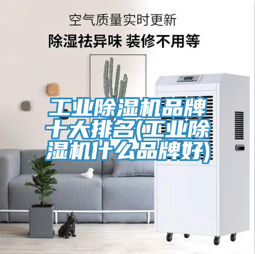 亚洲乱码一区二区三区 工业除湿机品牌十大排名(工业除湿机什么品牌好)
