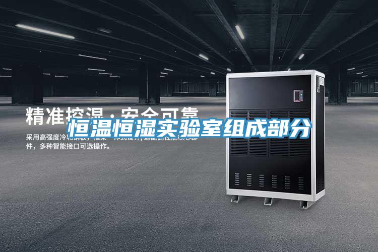 亚洲人成综合第一网站 恒温恒湿实验室组成部分