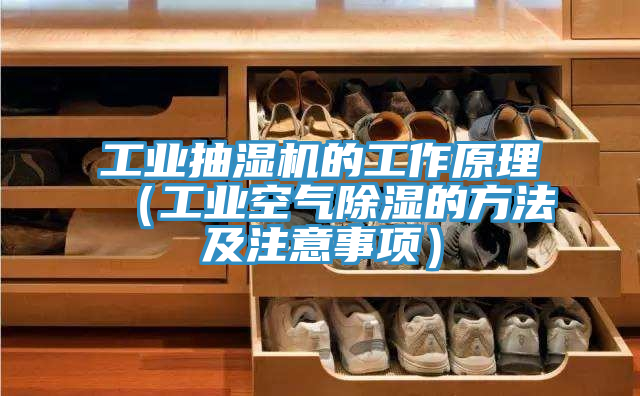 亚洲欧美一级特黄大片 工业抽湿机的工作原理（工业空气除湿的方法及注意事项）