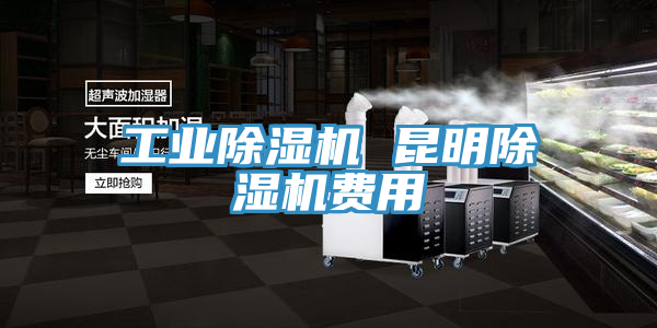 亚洲人成综合第一网站 工业除湿机 昆明除湿机费用