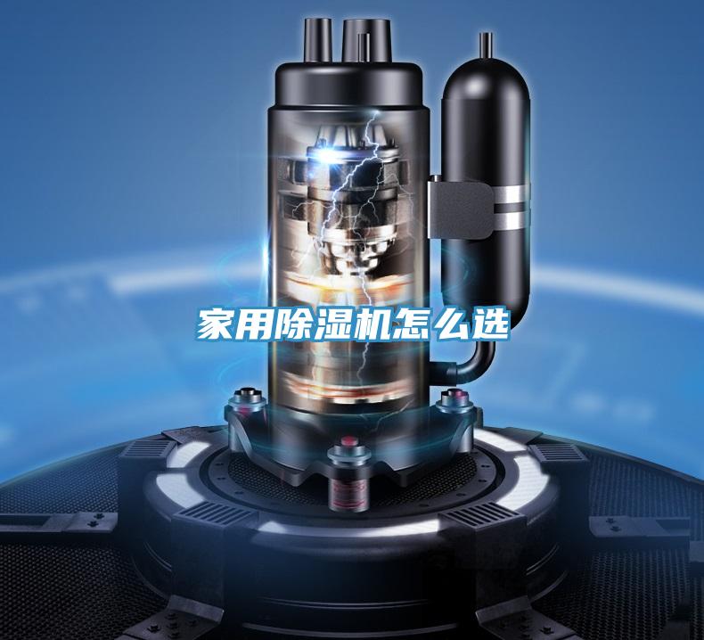 亚洲人成综合第一网站 家用除湿机怎么选