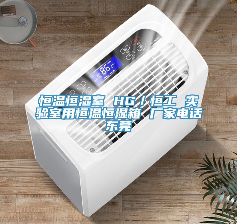 亚洲乱码一区二区三区 恒温恒湿室 HG／恒工 实验室用恒温恒湿箱 厂家电话东莞