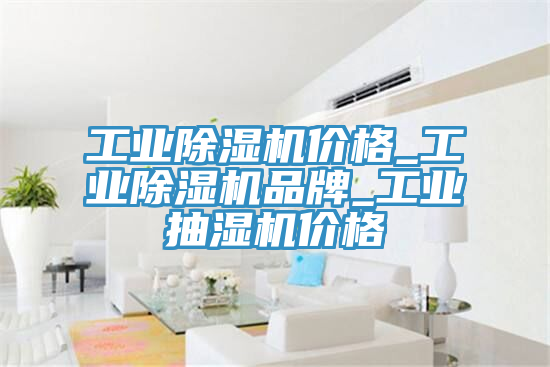 亚洲欧美一级特黄大片 工业除湿机价格_工业除湿机品牌_工业抽湿机价格