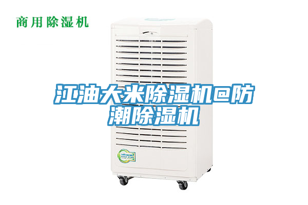 亚洲欧美一级特黄大片 江油大米除湿机@防潮除湿机