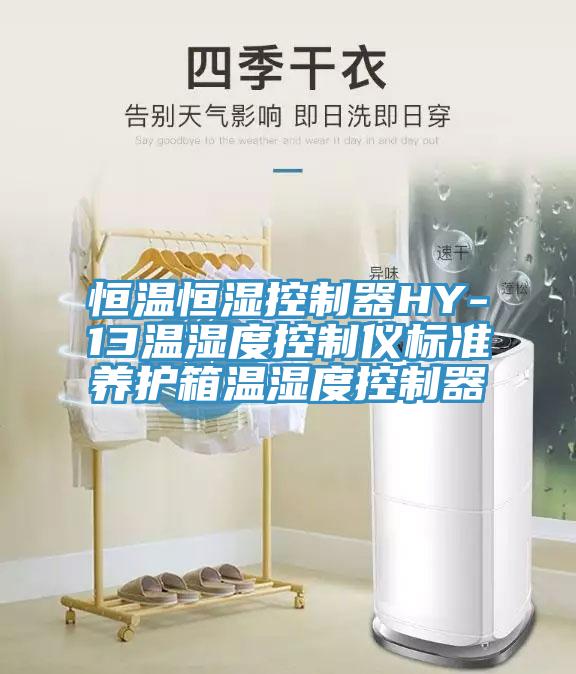 亚洲欧美一级特黄大片 恒温恒湿控制器HY-13温湿度控制仪标准养护箱温湿度控制器