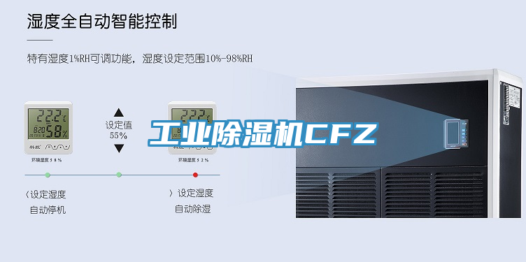 亚洲欧美一级特黄大片 工业除湿机CFZ