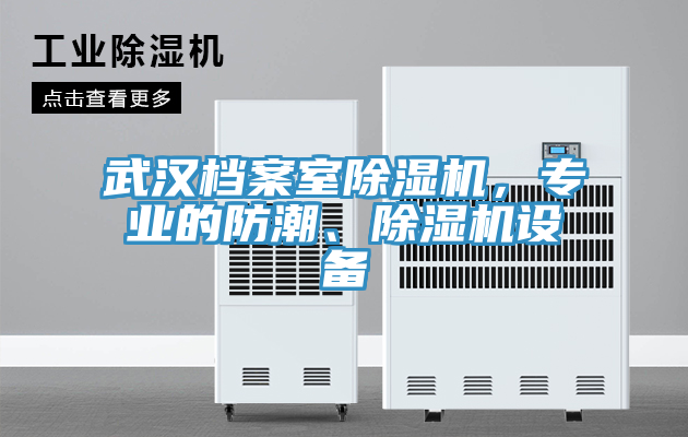 亚洲乱码一区二区三区 武汉档案室除湿机，专业的防潮、除湿机设备