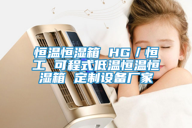 亚洲乱码一区二区三区 恒温恒湿箱 HG／恒工 可程式低温恒温恒湿箱 定制设备厂家