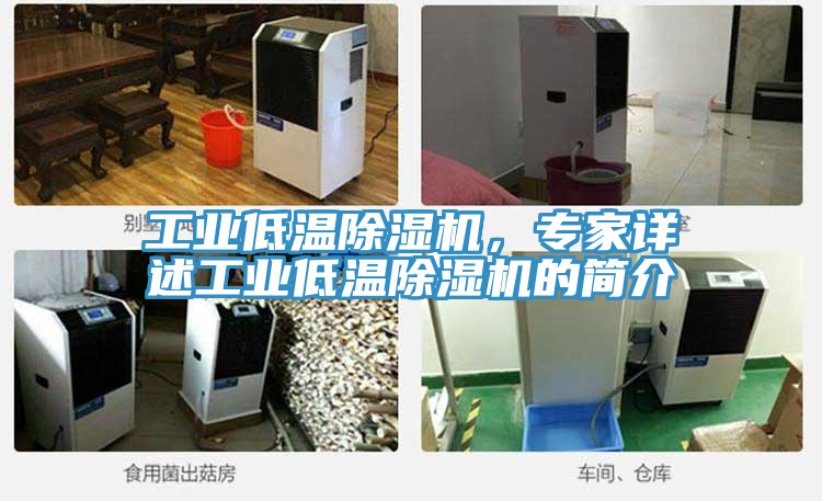 亚洲欧美一级特黄大片 工业低温除湿机，专家详述工业低温除湿机的简介