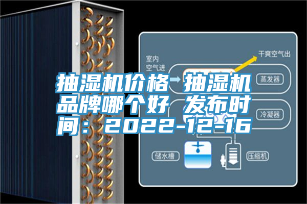 亚洲人成综合第一网站 抽湿机价格 抽湿机品牌哪个好 发布时间：2022-12-16