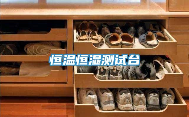 亚洲人成综合第一网站 恒温恒湿测试台