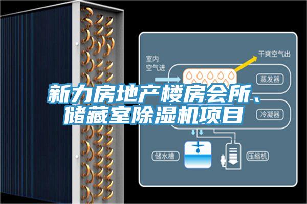 亚洲人成综合第一网站 新力房地产楼房会所、储藏室除湿机项目