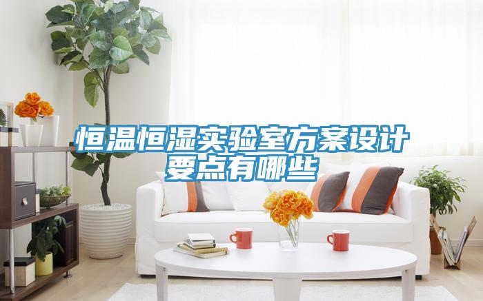亚洲人成综合第一网站 恒温恒湿实验室方案设计要点有哪些