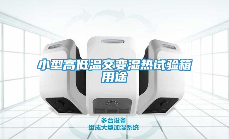 亚洲人成综合第一网站 小型高低温交变湿热试验箱用途