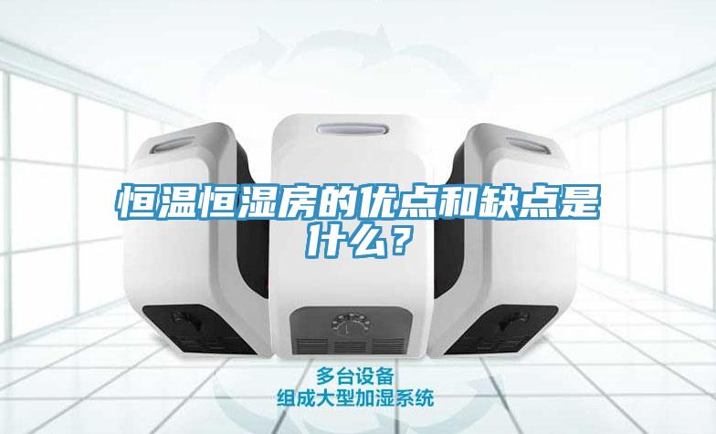 亚洲欧美一级特黄大片 恒温恒湿房的优点和缺点是什么？