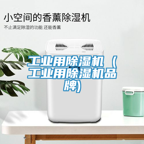 亚洲欧美一级特黄大片 工业用除湿机 (工业用除湿机品牌)