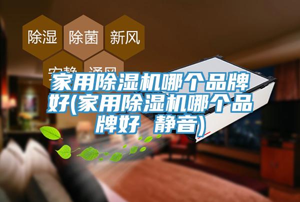 亚洲欧美一级特黄大片 家用除湿机哪个品牌好(家用除湿机哪个品牌好 静音)