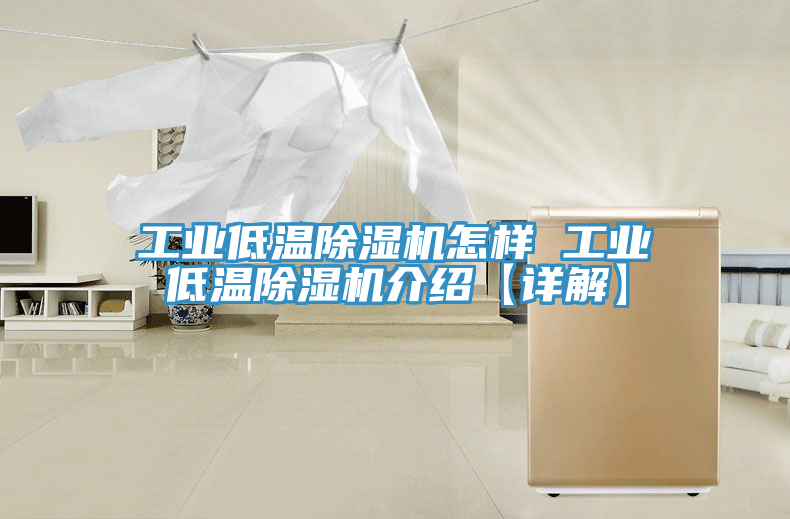 亚洲欧美一级特黄大片 工业低温除湿机怎样 工业低温除湿机介绍【详解】