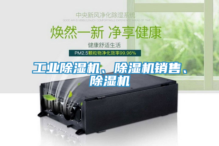 亚洲人成综合第一网站 工业除湿机、除湿机销售、除湿机