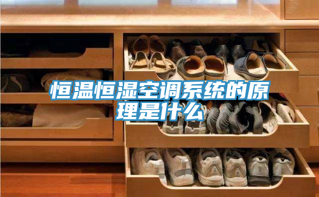 亚洲人成综合第一网站 恒温恒湿空调系统的原理是什么