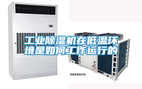 亚洲欧美一级特黄大片 工业除湿机在低温环境是如何工作运行的