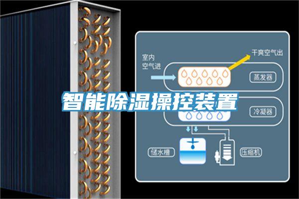 亚洲欧美一级特黄大片 智能除湿操控装置