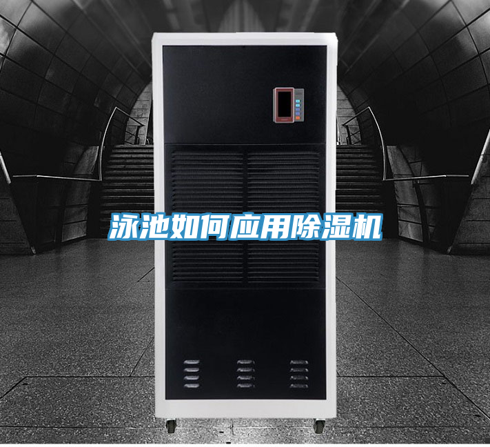 亚洲欧美一级特黄大片 泳池如何应用除湿机
