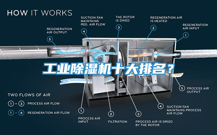 亚洲欧美一级特黄大片 工业除湿机十大排名？