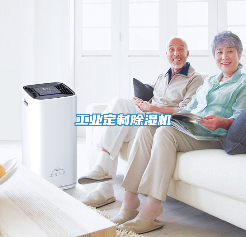亚洲人成综合第一网站 工业定制除湿机