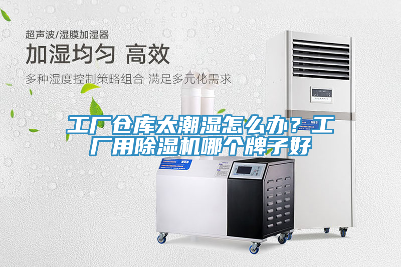 亚洲欧美一级特黄大片 工厂仓库太潮湿怎么办？工厂用除湿机哪个牌子好