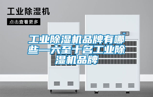 亚洲欧美一级特黄大片 工业除湿机品牌有哪些—六至十名工业除湿机品牌