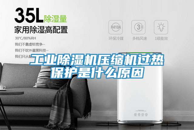 亚洲人成综合第一网站 工业除湿机压缩机过热保护是什么原因